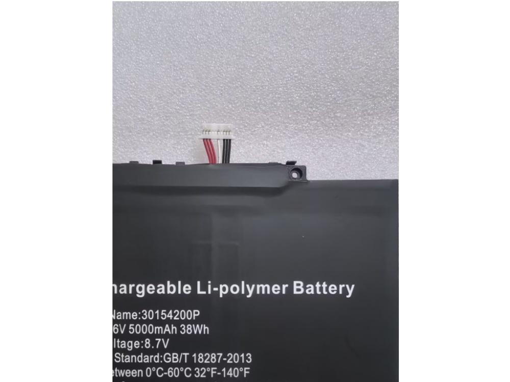 30154200P_2